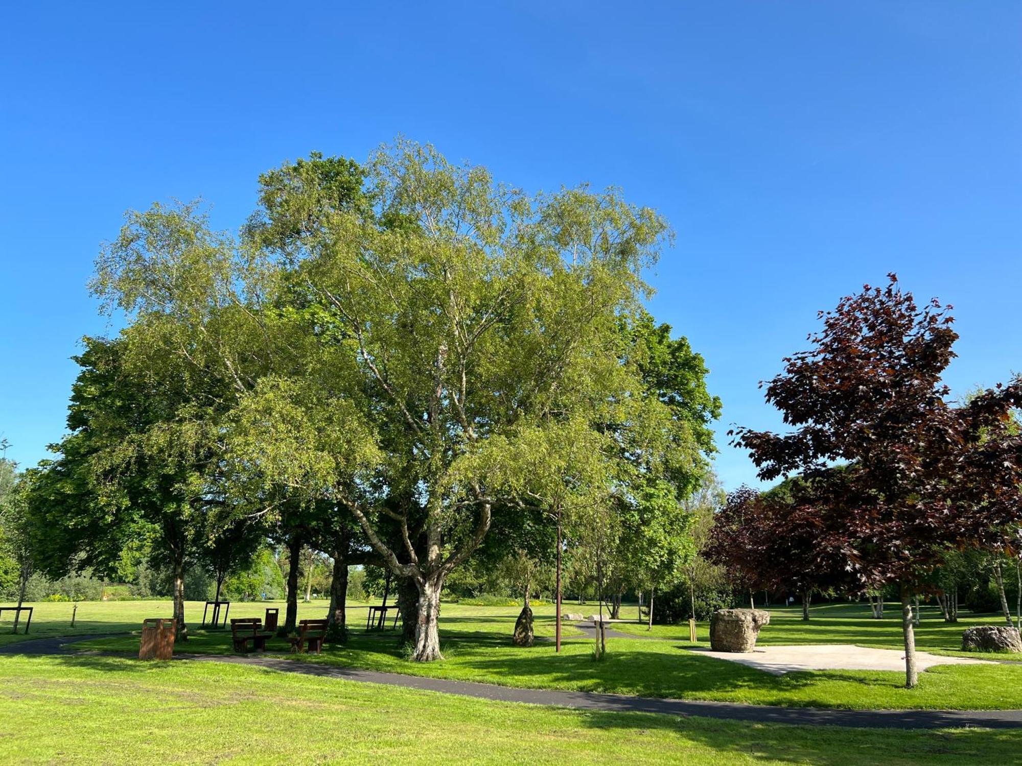 'Maigue View' By The River Croom Bagian luar foto